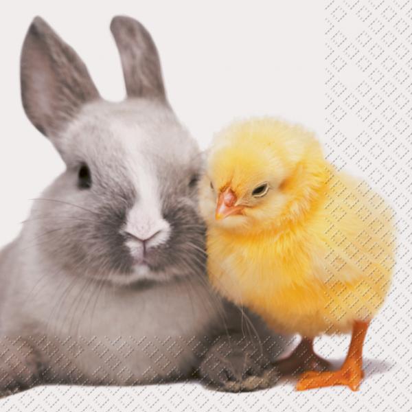 Stewo servietten 33x33cm 2572715010 hase/kücken 20 stück - Stewo-2572715010-7630021141234