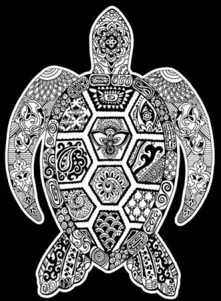 Tataruga samtbild a4 s23 schildkröte - Tataruga-s23-8024238222524-02.jpg