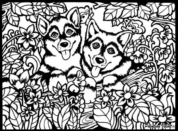 Tataruga samtbild a4 s5 huskys - Tataruga-s5-8024238222340