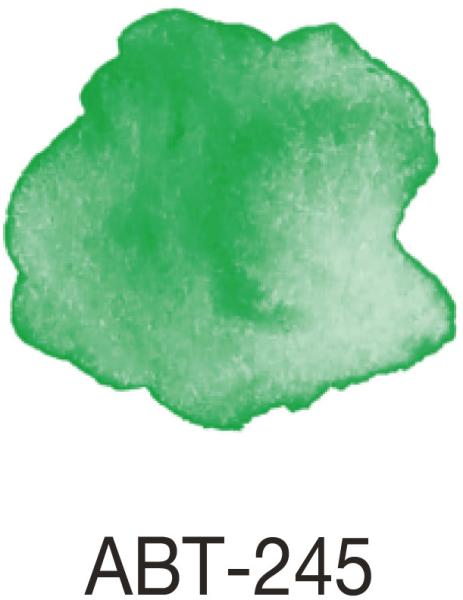 Tombow dual brush pen abt 245 sap green - Tombow-abt-245-4901991901375-03.jpg