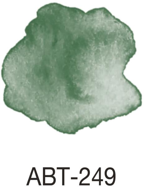 Tombow dual brush pen abt 249 hunter green - Tombow-abt-249-4901991901382-03.jpg