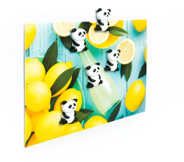 Trendform magnete panda fa4573 schwarz/weiss 5 stück - Trendform-fa4573-7640169368554-03.jpg