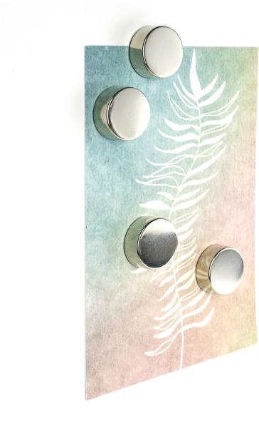 Trendform magnete silver tf2735 silber 4 stück - Trendform-tf2735-7640161866348-03.jpg