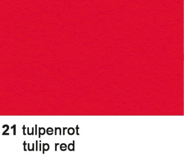Ursus fotokarton 70x100cm 3881421 300g, tulpenrot - Ursus-3881421-4008525187714