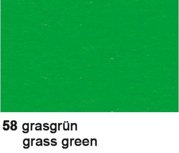 Ursus fotokarton 70x100cm 3881458 300g, grasgrün - Ursus-3881458-4008525187431