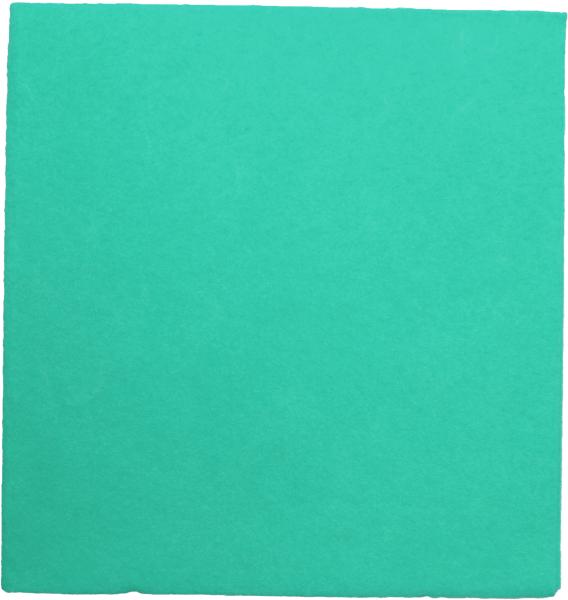 Weitaclean allzwecktuch olivia 38x40cm 721263 grün 30 stück - Weitaclean-721263-7610588109441