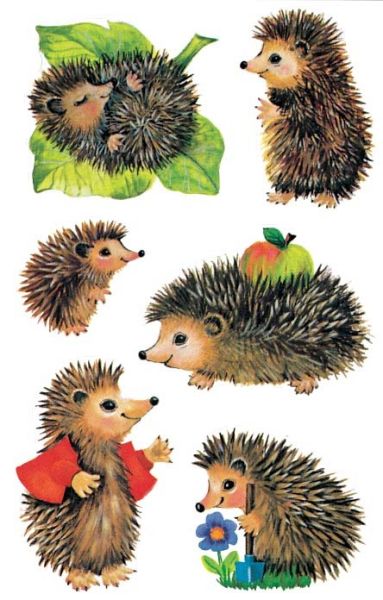 Z-design sticker kids 4306 igel 3 stück - Z-design-4306-4004182043066