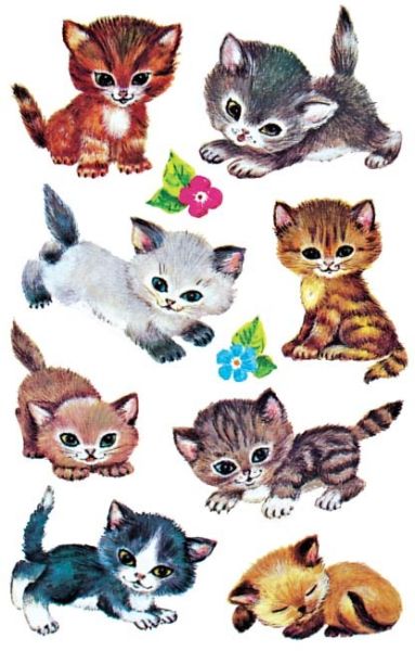 Z-design sticker kids 4346 katzen 3 stück - Z-design-4346-4004182043462
