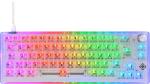 DELTACO TKL Gaming Keyboard mech GAM-160-T-CH transparent RGB CH-Layout