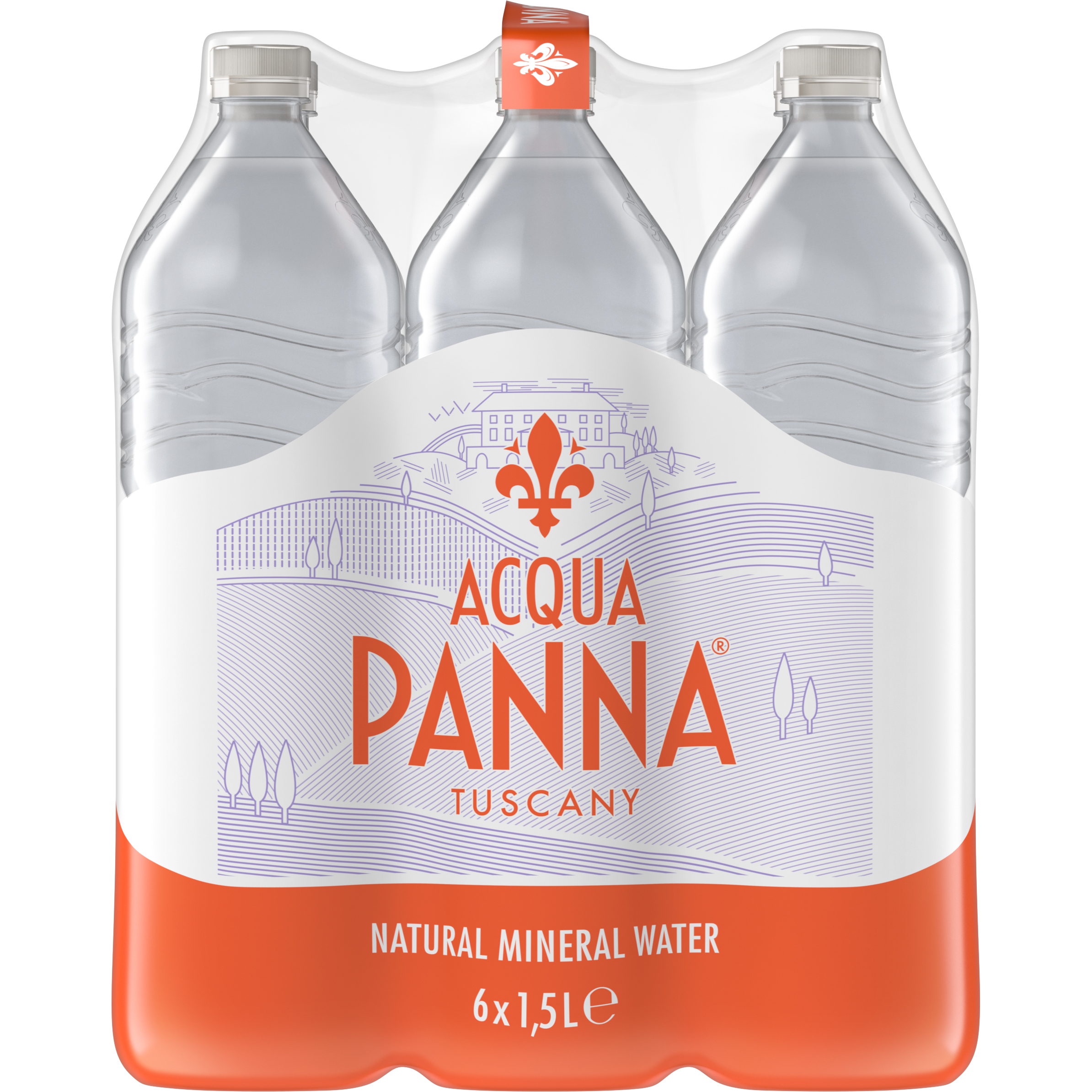 ACQUA PANNA ohne Kohlensäure 12498300 150 cl, 6 Stk.