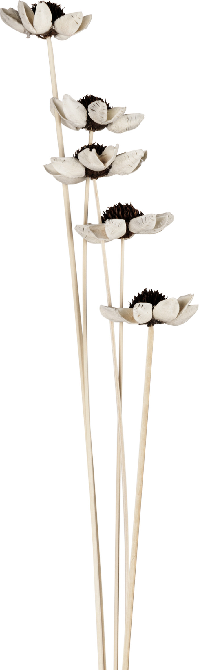 EGLO Kunstblumen ALABEL 428165 natur