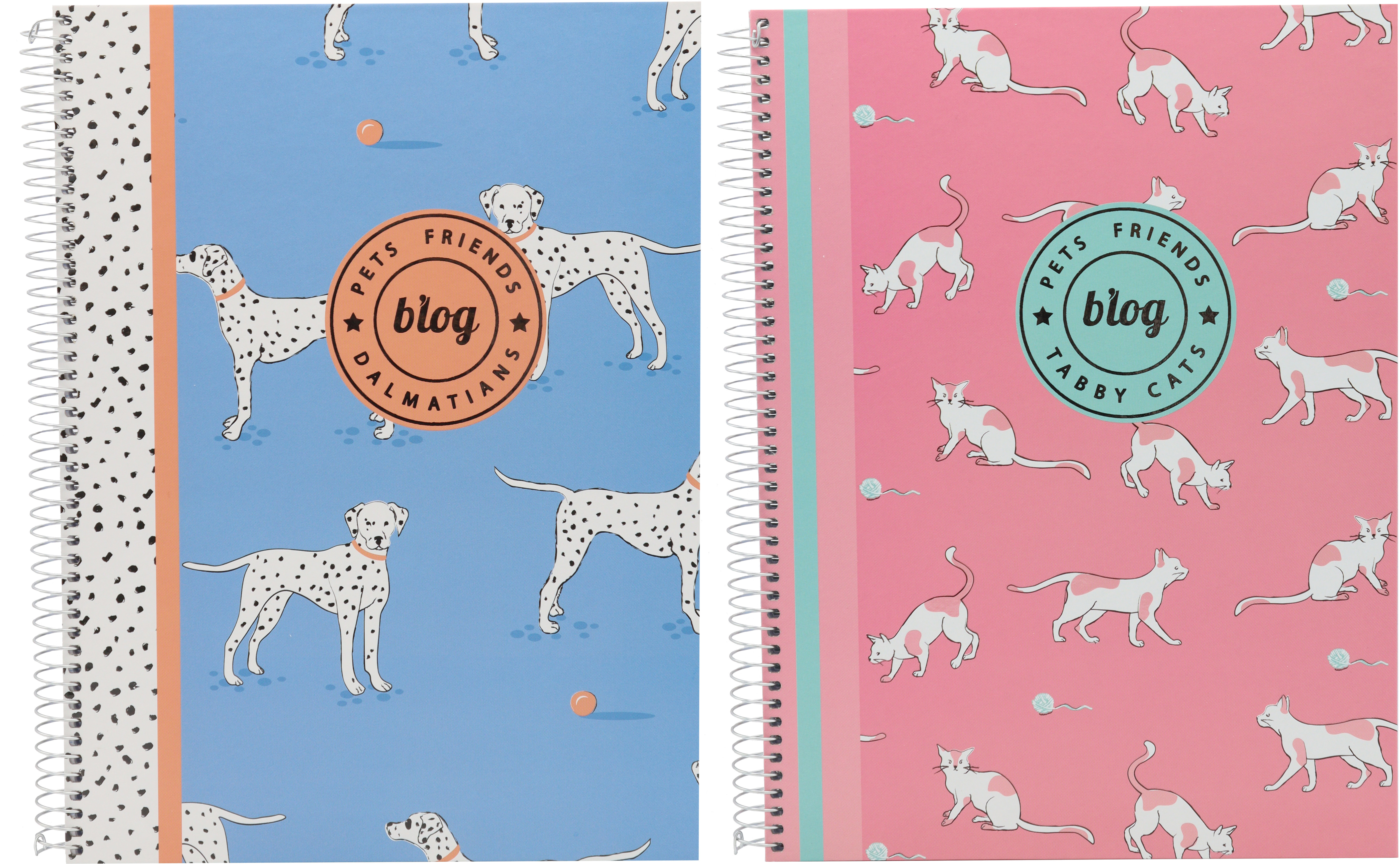 ANCOR Spiralbuch A5 PET FRIENDS 105513 assort., 5mm, 90g 80 Bl.