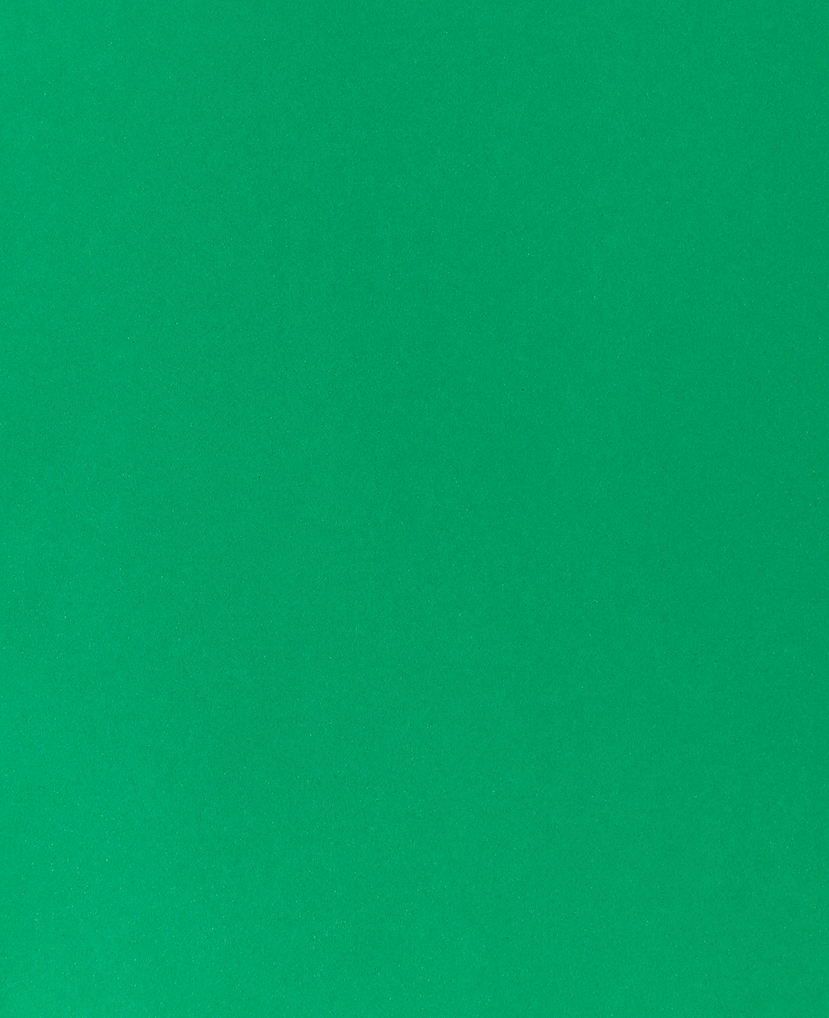 I AM CREATIVE Fotokarton 50x70cm 2902498327 300g, tannengrün