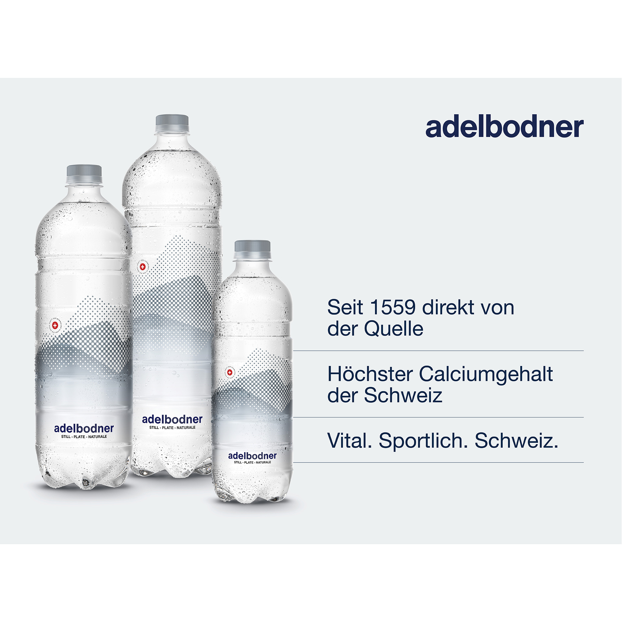 ADELBODNER ohne Kohlensäure 180054 100 cl, 6 Stk.