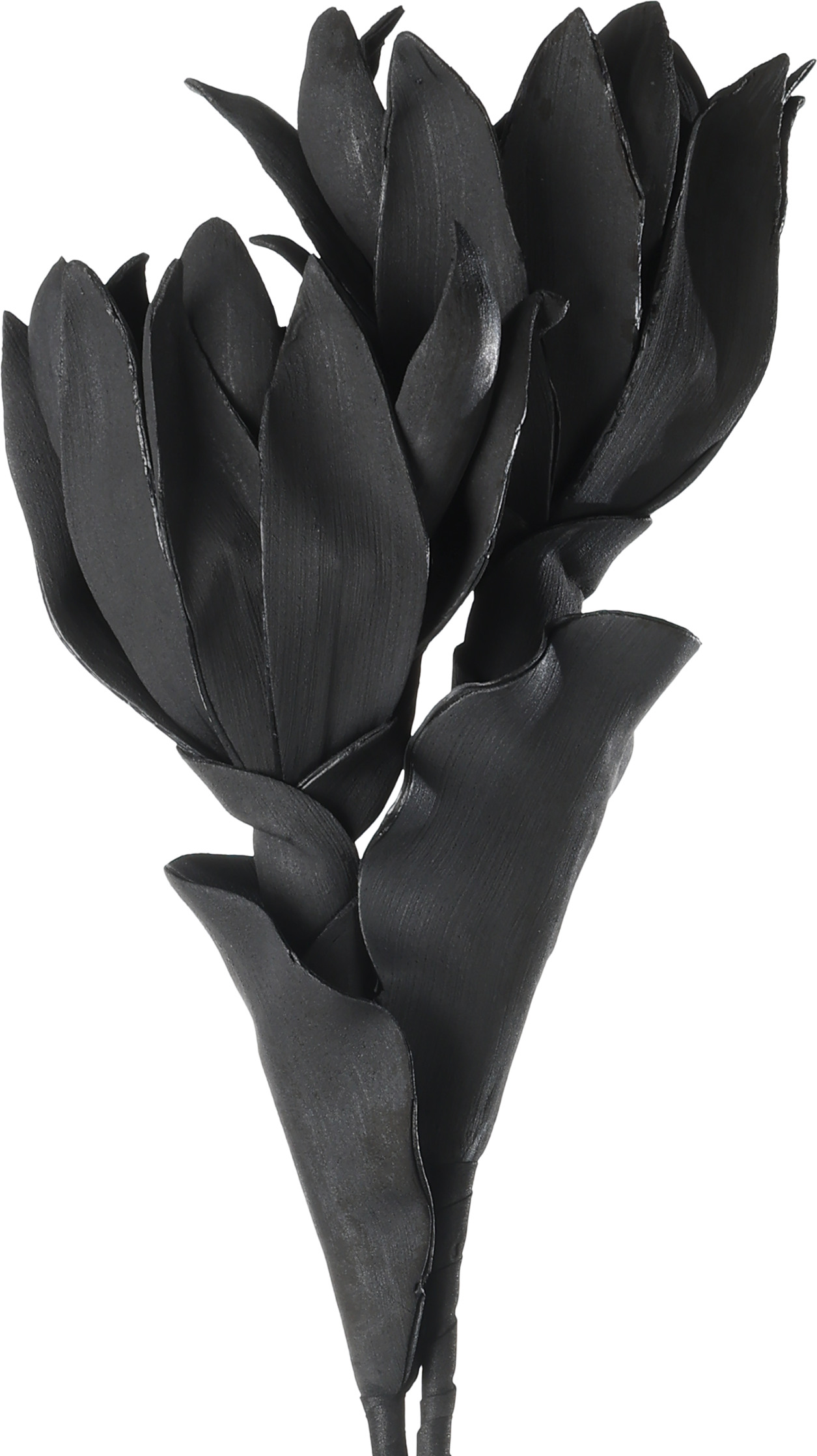 EGLO Kunstblume MOLAVE 428122 schwarz