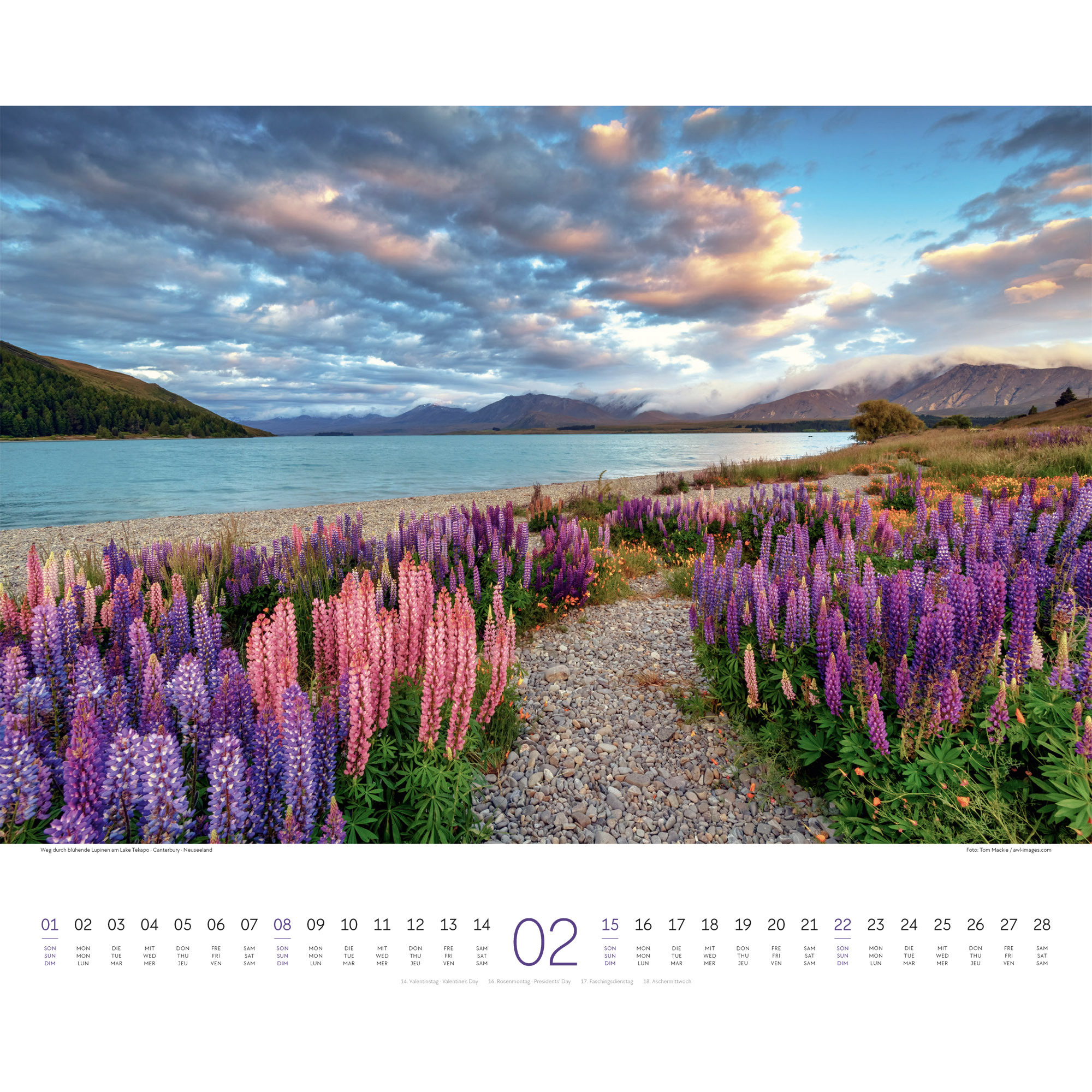 ACKERMANN Bildkalender 2026 2634 Wege ML 54x48cm