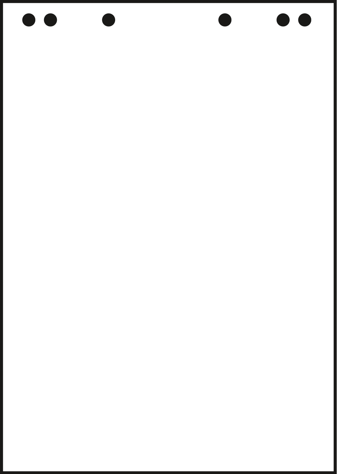 LANDRE Flipchart-Block 68x99cm 10050593 80g, blanko 5x20 Blatt