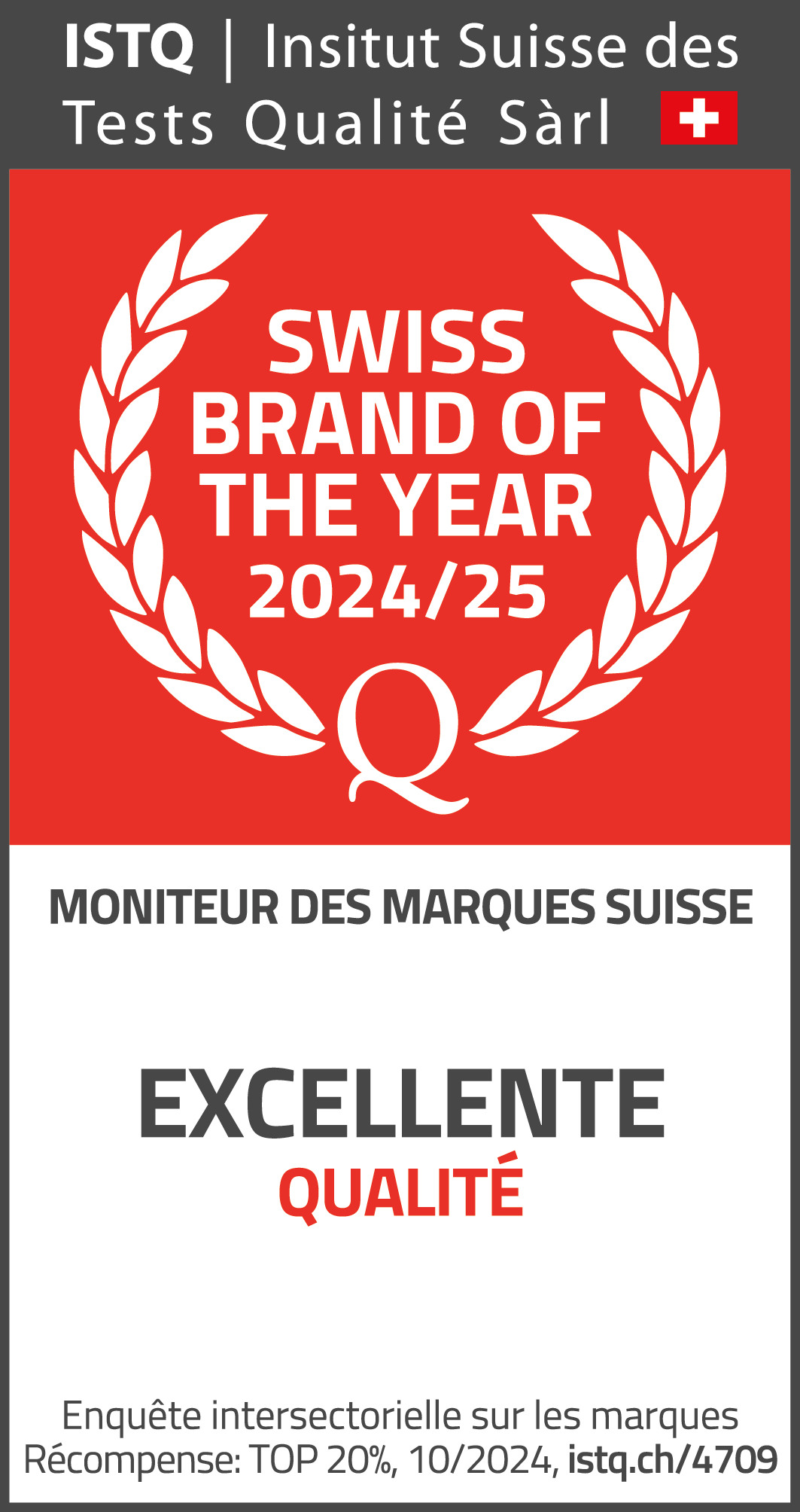 WENGER Luggage Strap black 604906 Travel Accessories