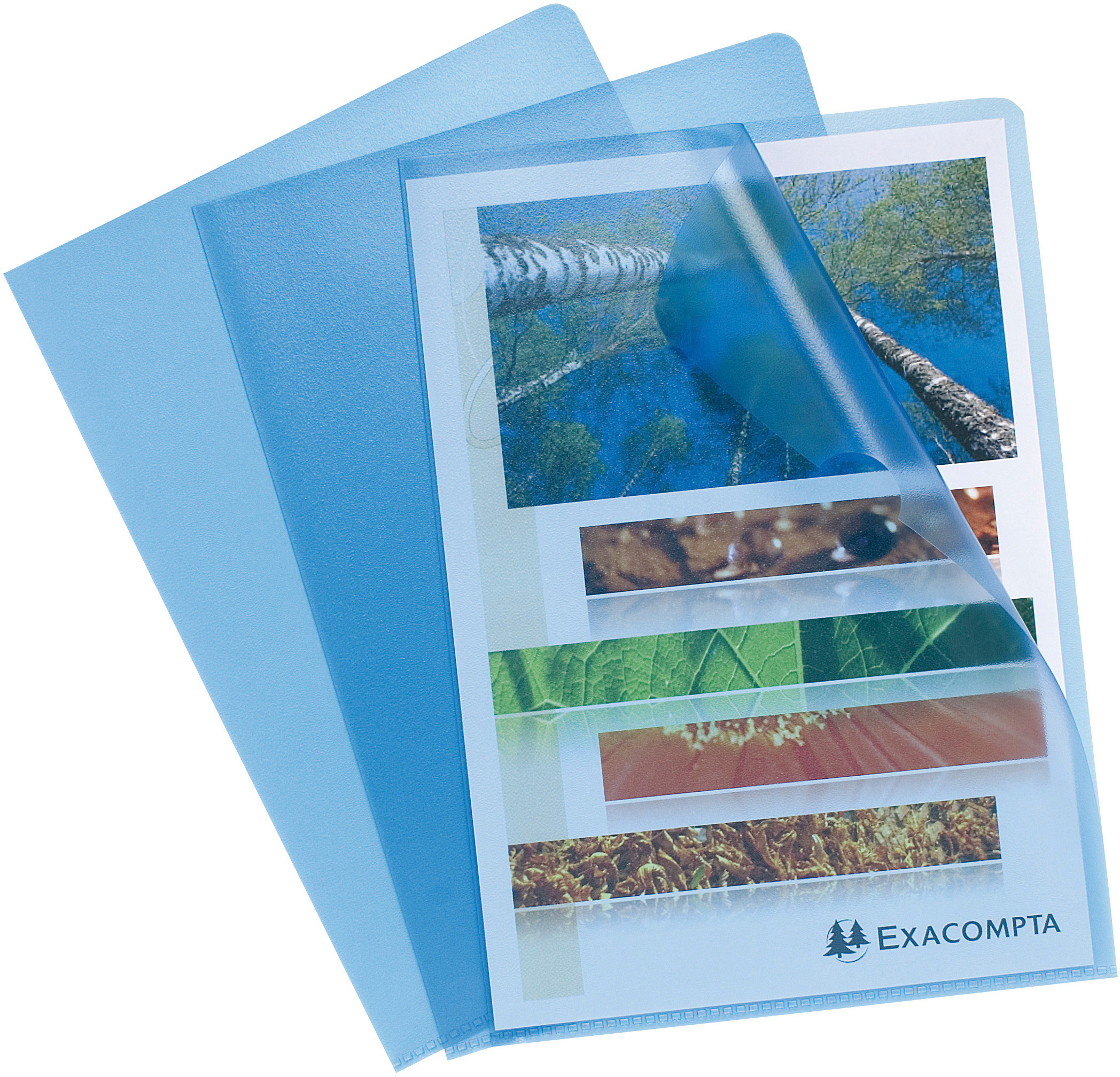 EXACOMPTA Sichtmappe genarbt A4 58522E blau 100 Stück