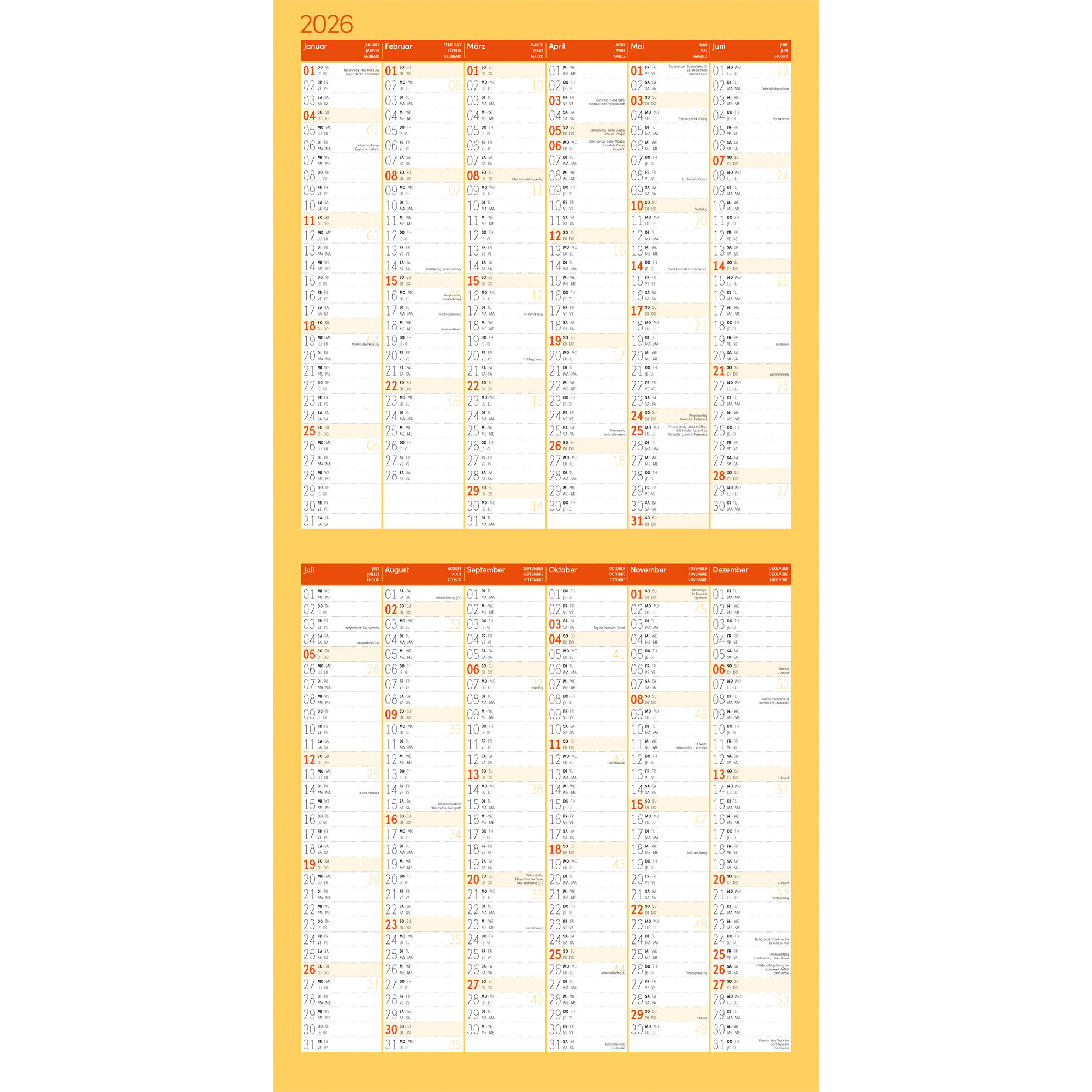 ACKERMANN Bildkalender 2026 4627 No Drama, Lama ML 30x30cm